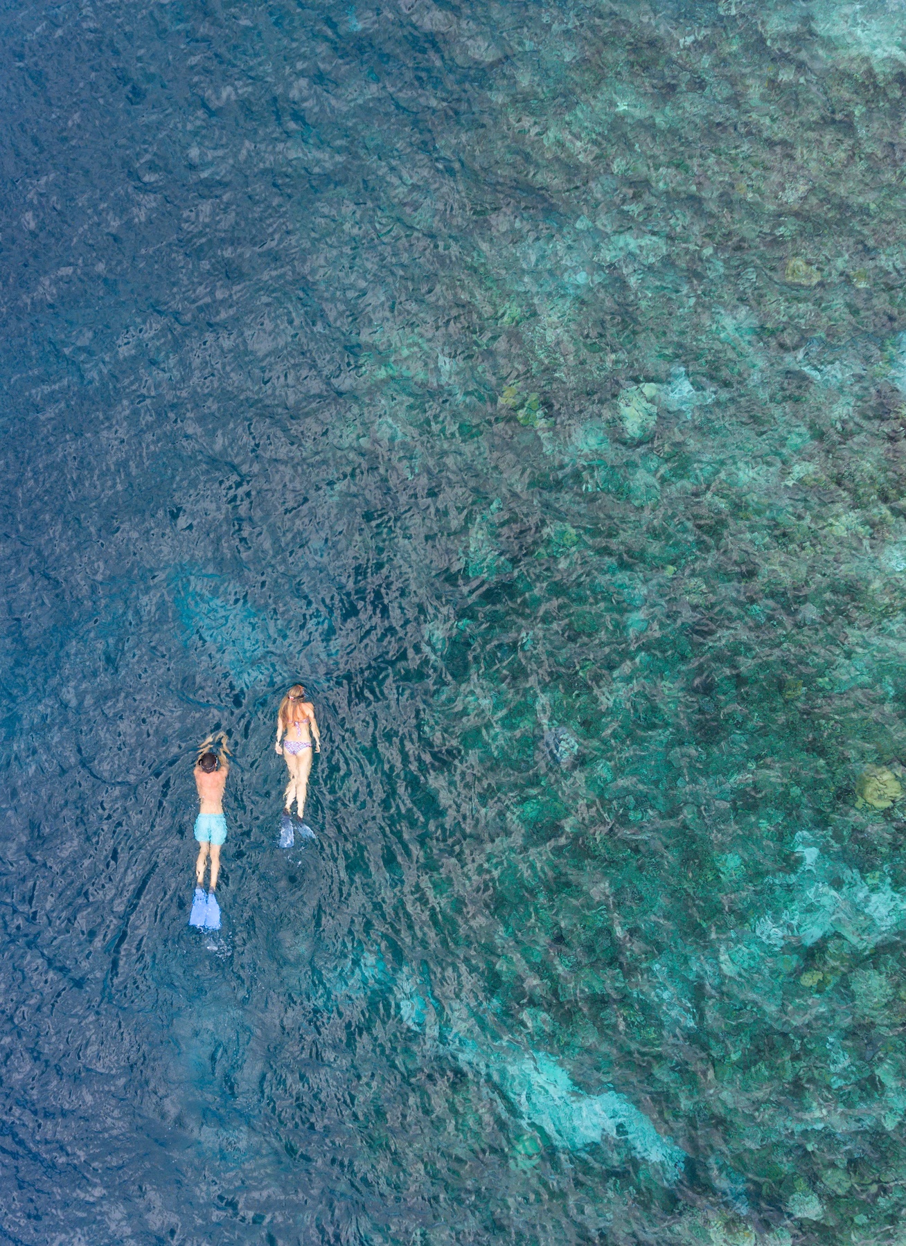 mergulho nas Ilhas Maldivas